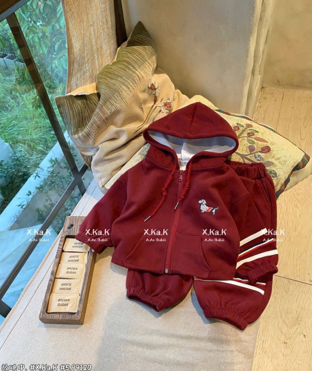 T989 - BỘ NỈ BÉ TRAI HAIDA CHÓ THOM MŨ LIỀN