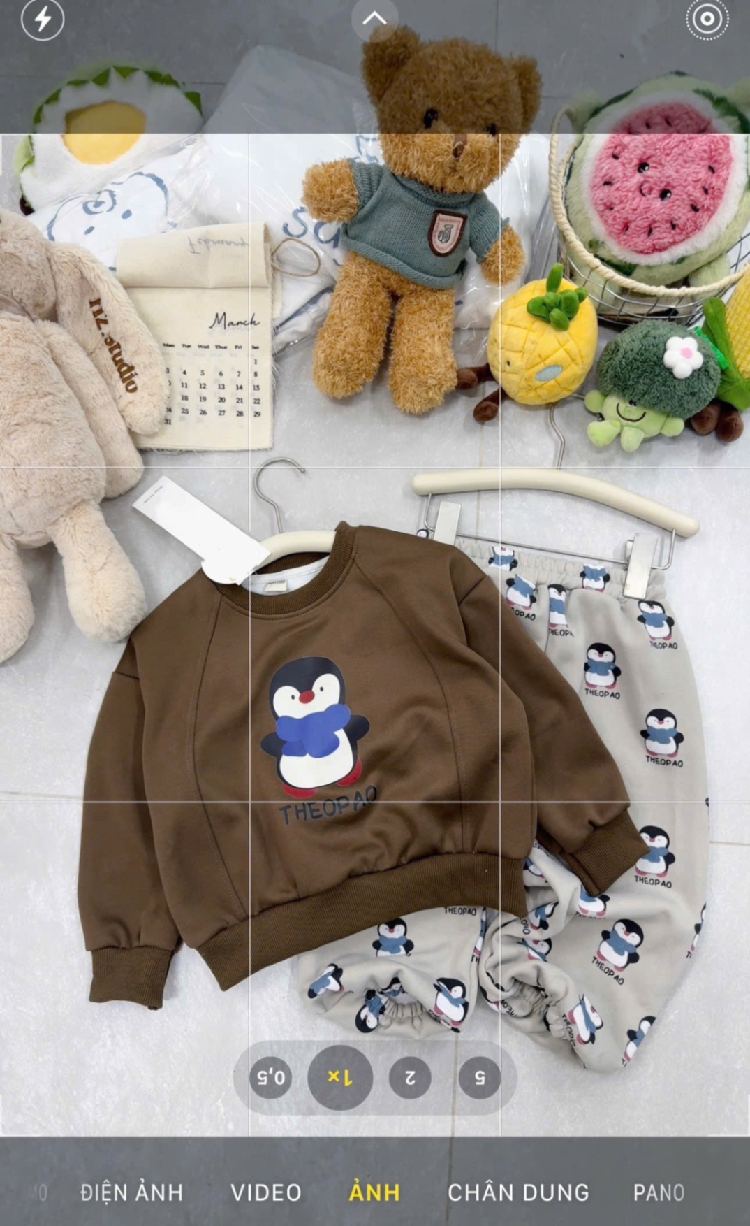 T002 - BỘ NỈ BÉ TRAI CHIM CÁNH CỤT
