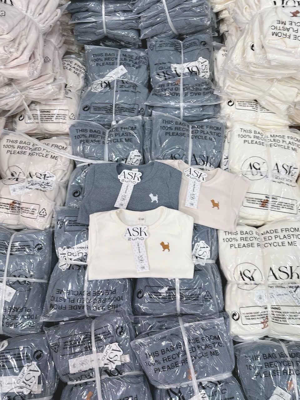 T009 - SET 3 BỘ BÉ TRAI ZIP LÔNG THÊU CHÓ TAG ASK