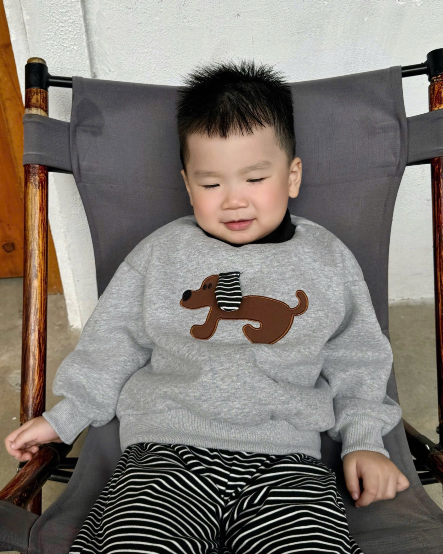 T071 - BỘ NỈ BÉ TRAI THÊU CHÓ CỔ BO QUẦN KẺ