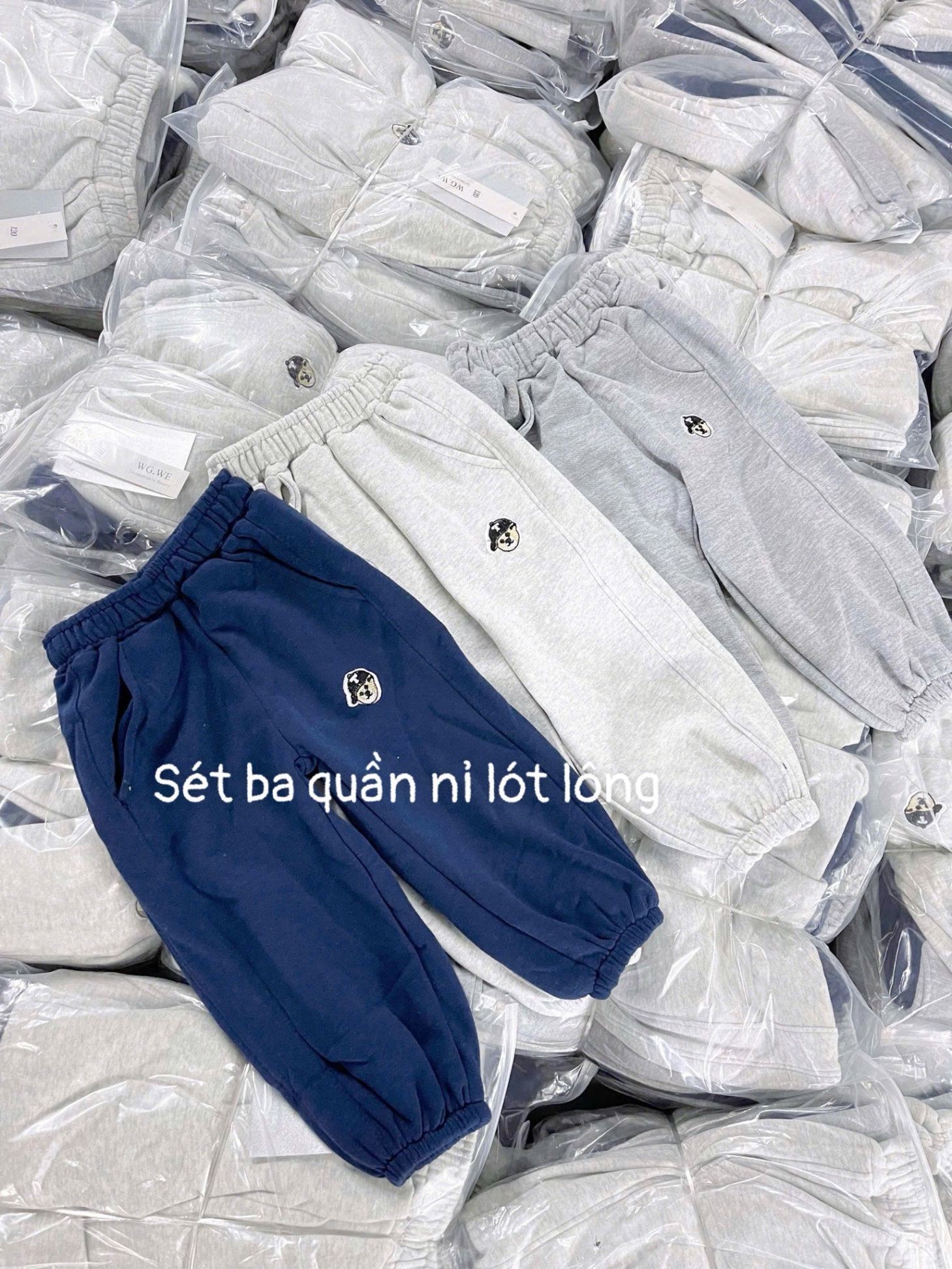 QB365 - SET 3 QUẦN NỈ BÉ TRAI THÊU GẤU T than xám