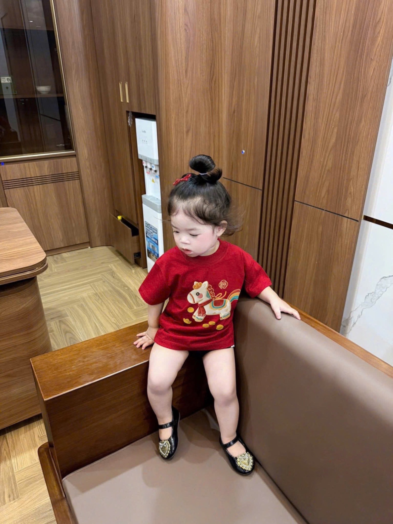 AB863 - ÁO PHÔNG GIA ĐÌNH ĐỎ NGỰA PONY KHĂN ĐỎ