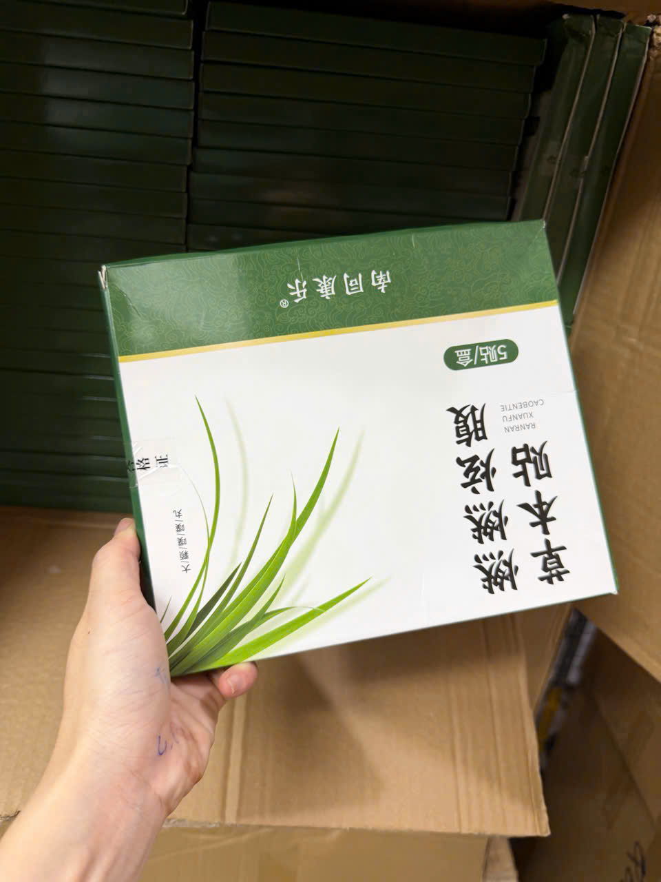 PK292 - SET 4 HỘP DÁN NGẢI CỨU (20 MIẾNG)