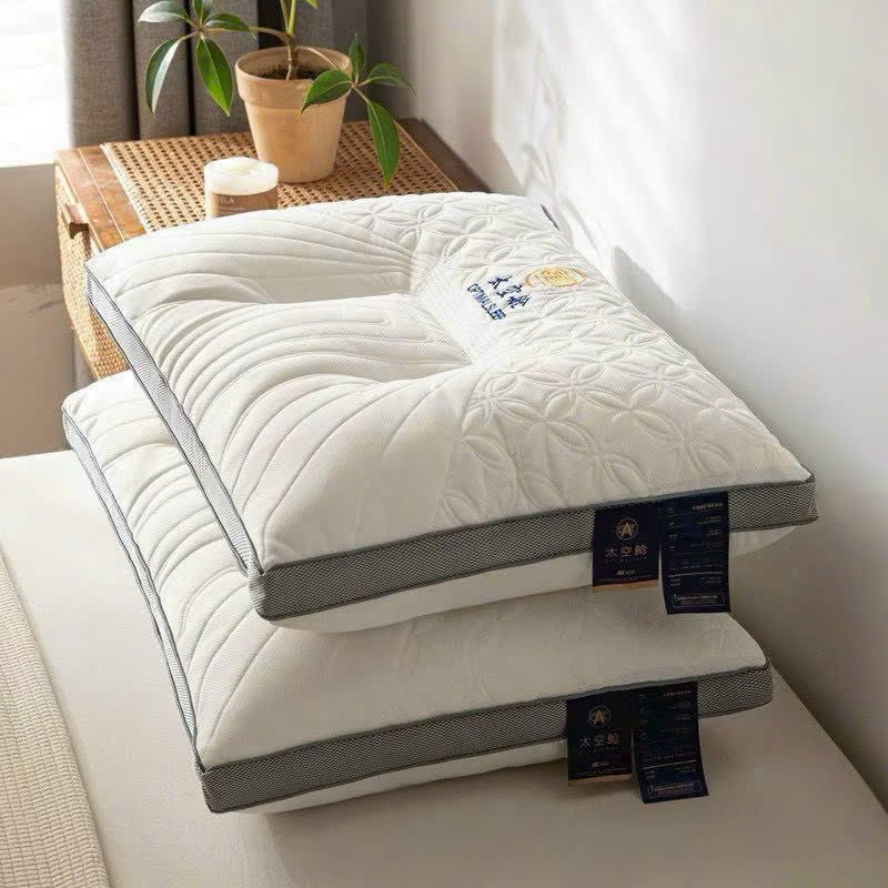 PK297 - SET 2 GỐI VÂN LÁ DÀY 900GAM