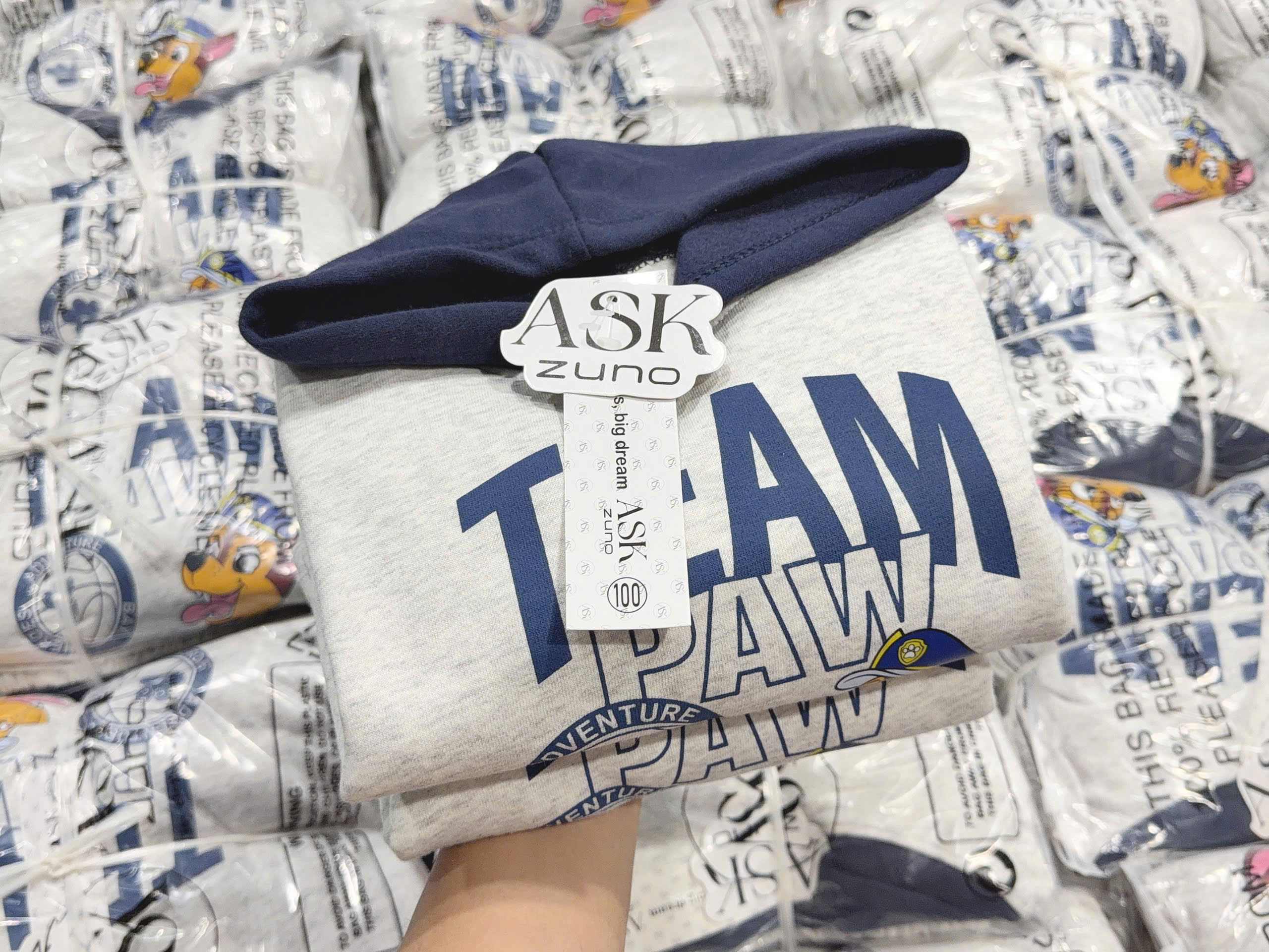 T434 - BỘ NỈ DƯ BÉ TRAI HOODIE MŨ THAN CHÓ TEAM PAW