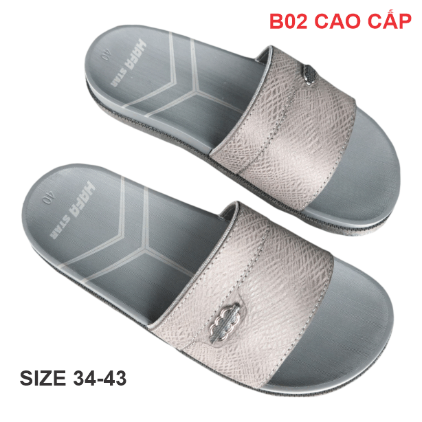 B02 CAO CẤP