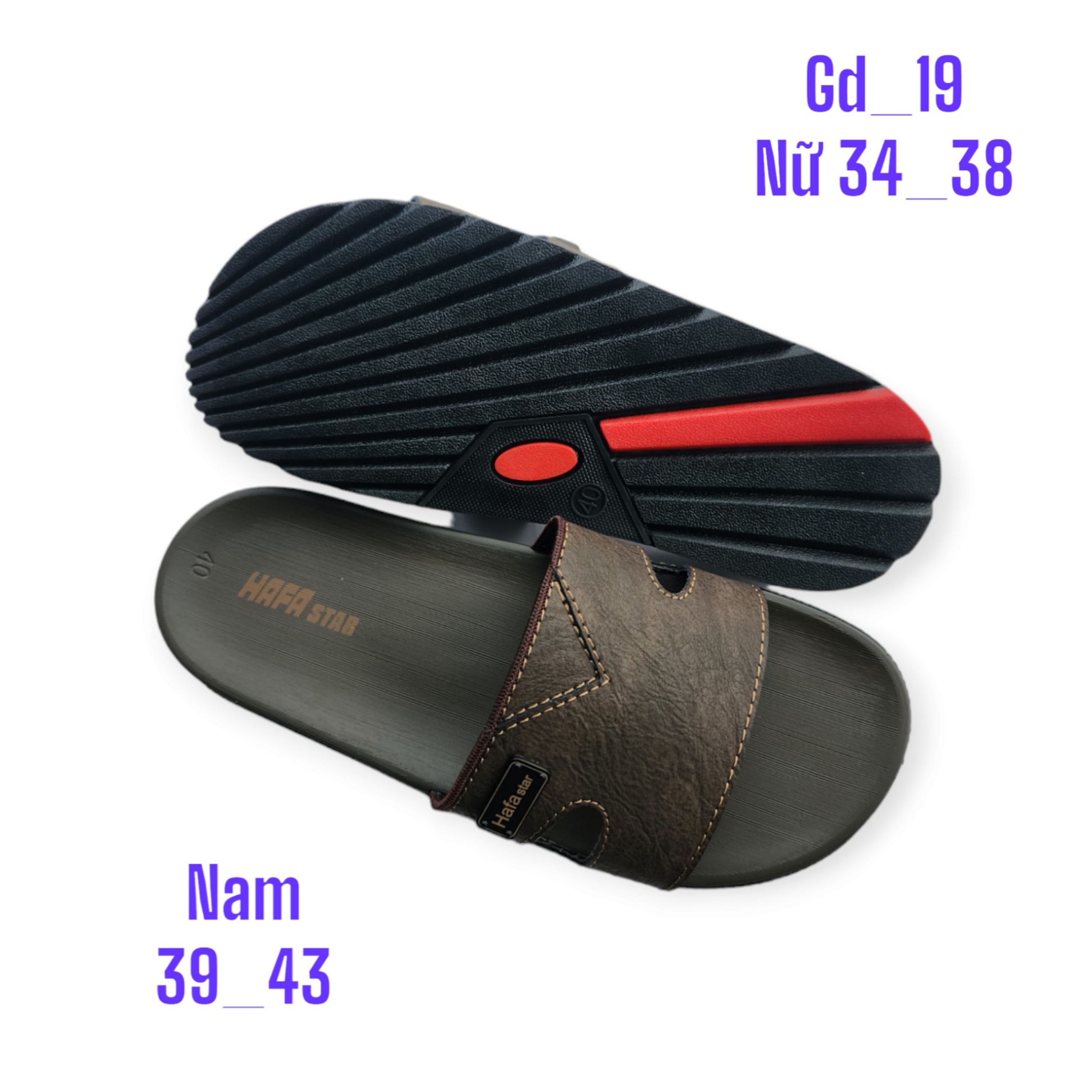 Nữ GD-19
