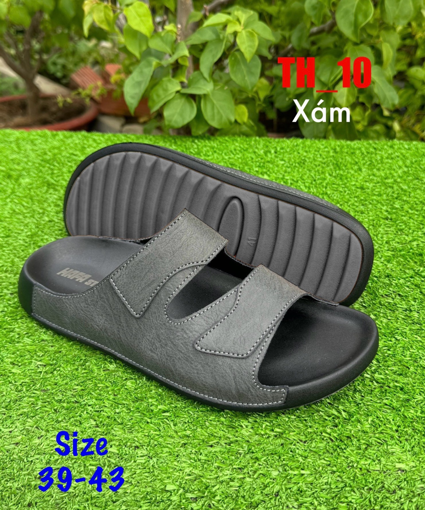 TH_10 - 43 - Xám