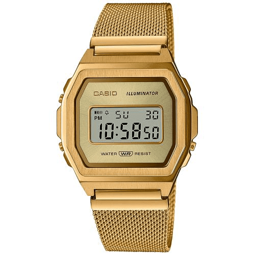 CASIO A1000MG-9