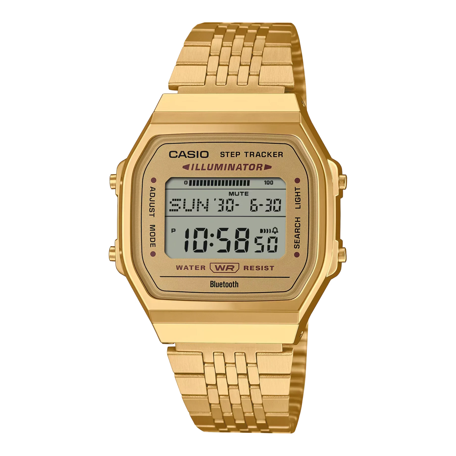 CASIO ABL-100WEG-9A