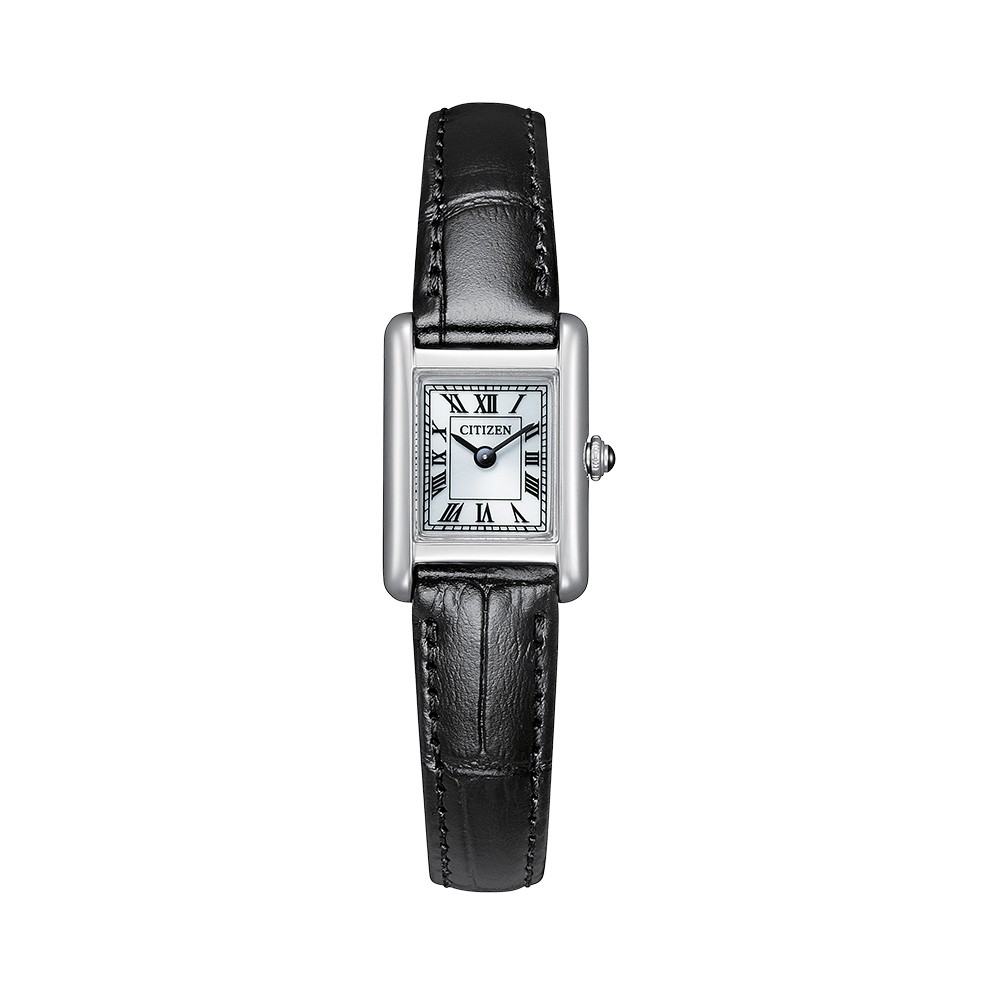 CITIZEN EG2790-12A