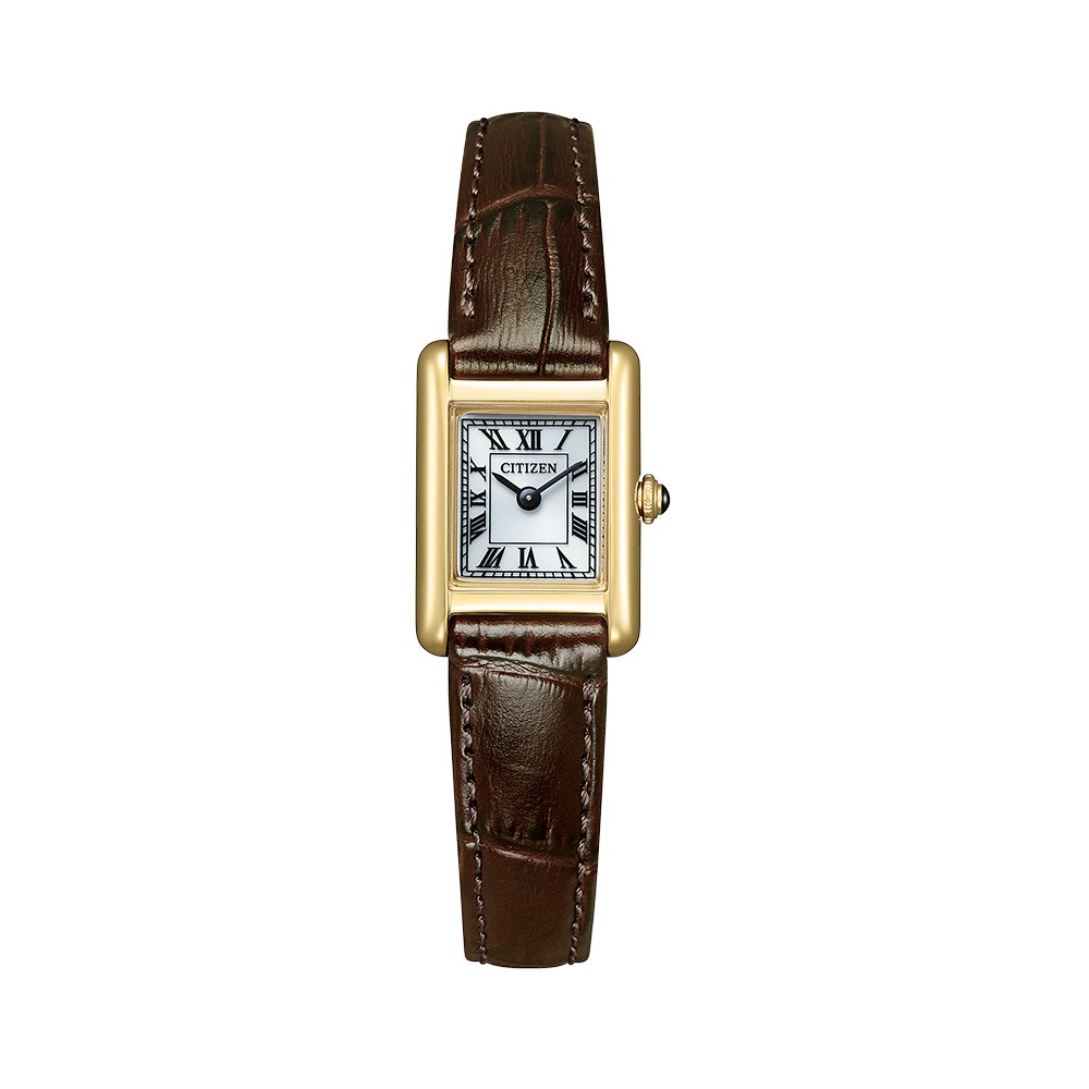 CITIZEN EG2797-13A
