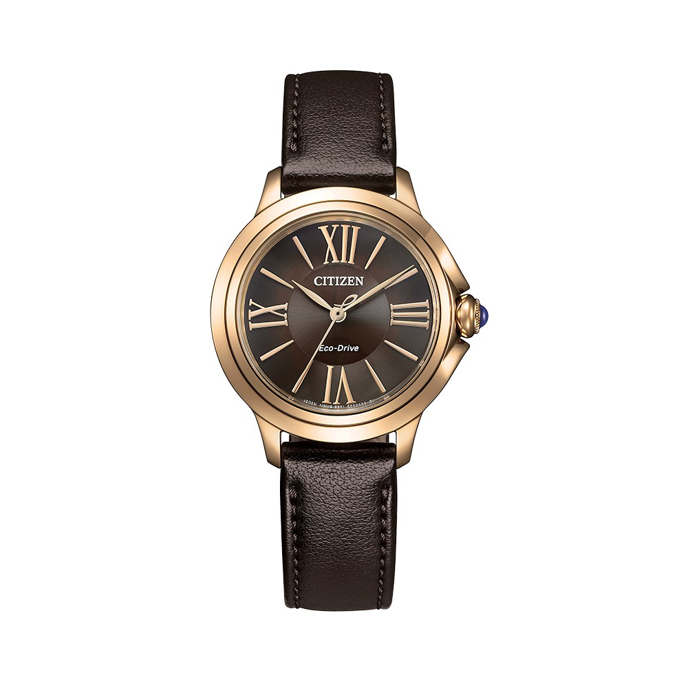 CITIZEN EM1163-09X