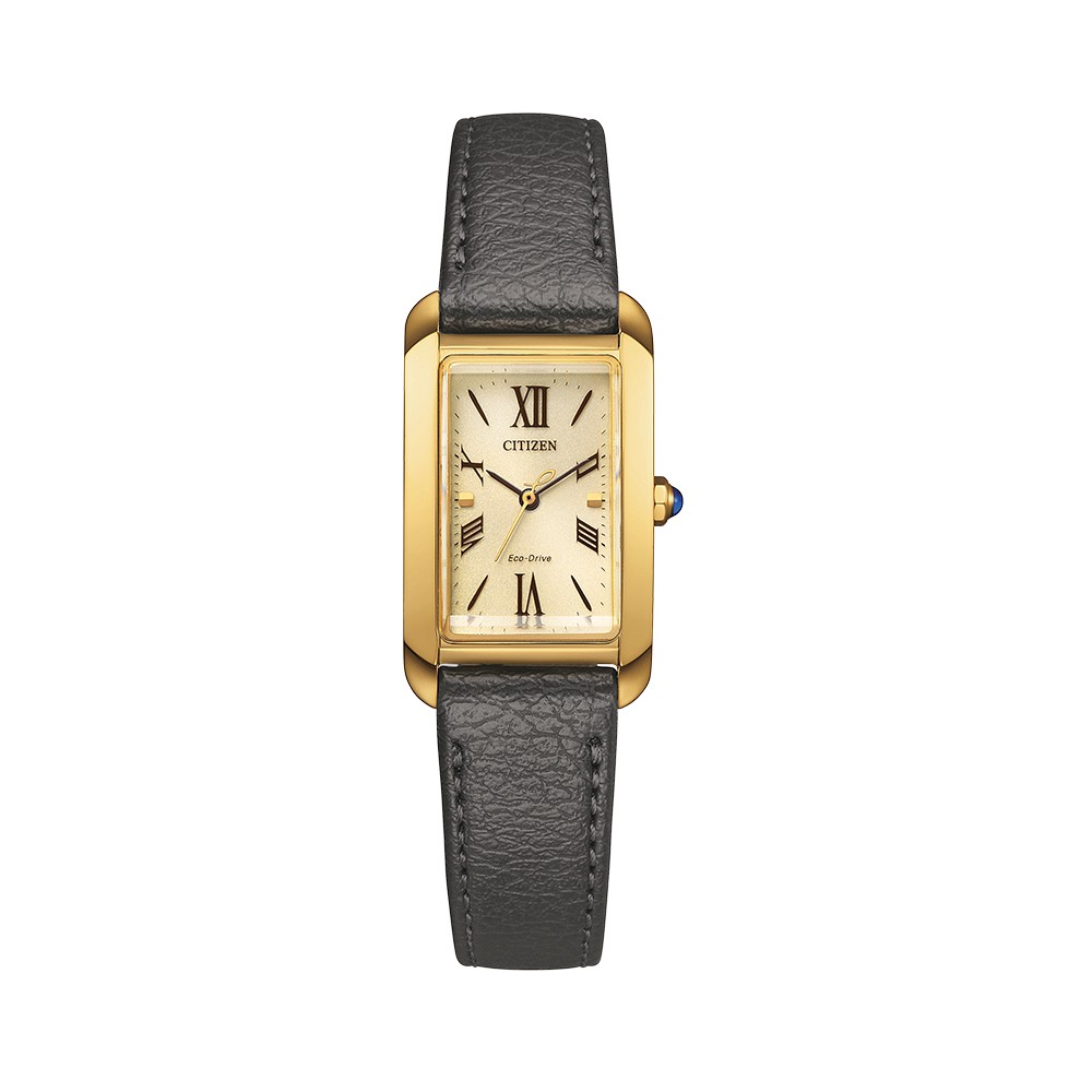 CITIZEN EW5622-09P