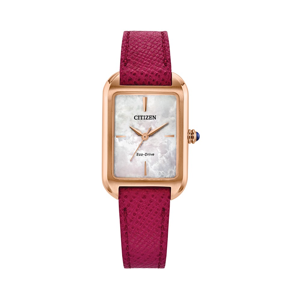 CITIZEN EM1193-08D