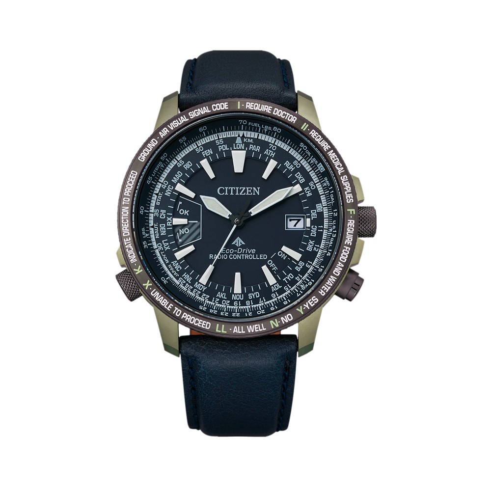 CITIZEN CB0204-14L