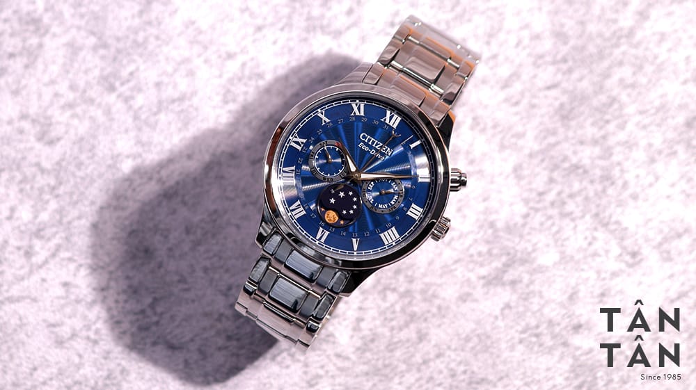CITIZEN AP1050-81L