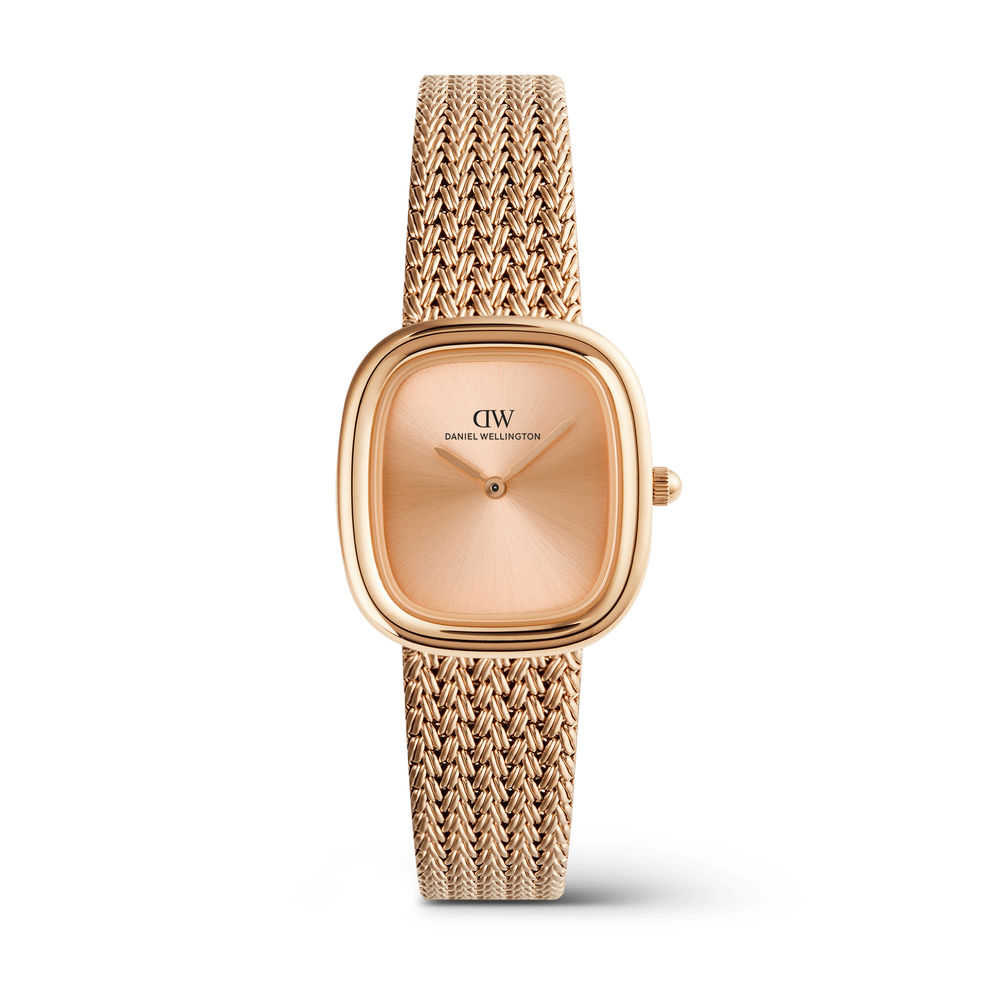 DANIEL WELLINGTON MARGOT DW00100965