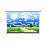 Màn chiếu treo tường Dalite P84WS ( 2m13x2m13 ) - 120 inch