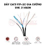 DÂY CAT3 FTP GIA CƯỜNG KÈM NGUỒN (SNK_3415GN) – P&S Việt Nam
