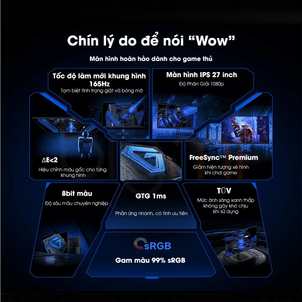 main_images__1.jpg