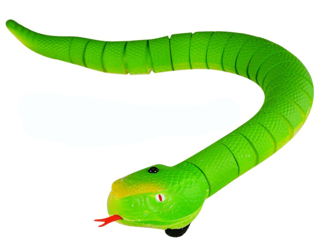 Rắn Điều Khiển