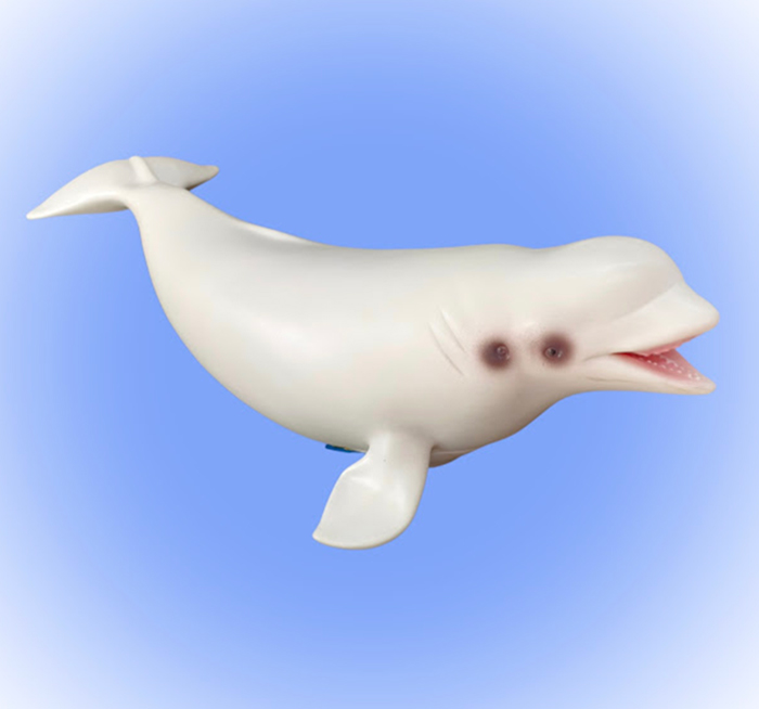 Cá Voi Trắng Beluga Mô Hình CH16