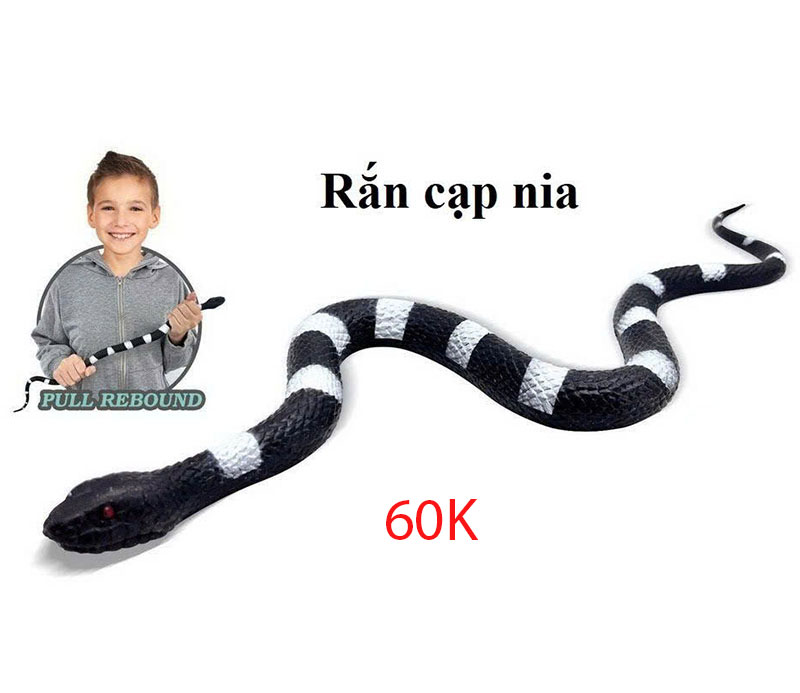20250514_TZFrig8e.jpg