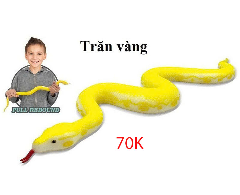 20250514_Y39Lidmo.jpg