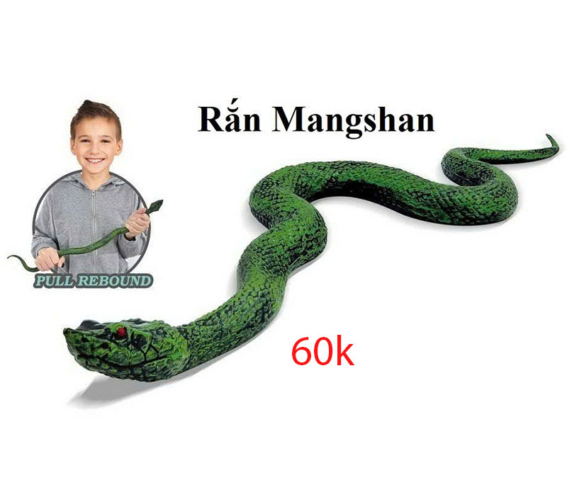 20250514_qaeRqRNt.jpg