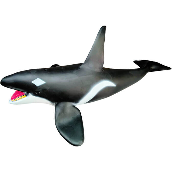 20250711_tuxigLVW.jpg