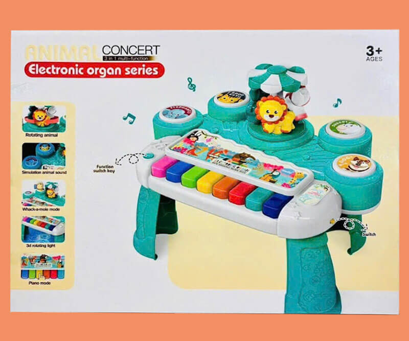 Bo-dan-trong-Organ-Dung-Pin-8838-1B_IMG_20250830_114752vv-1.jpg