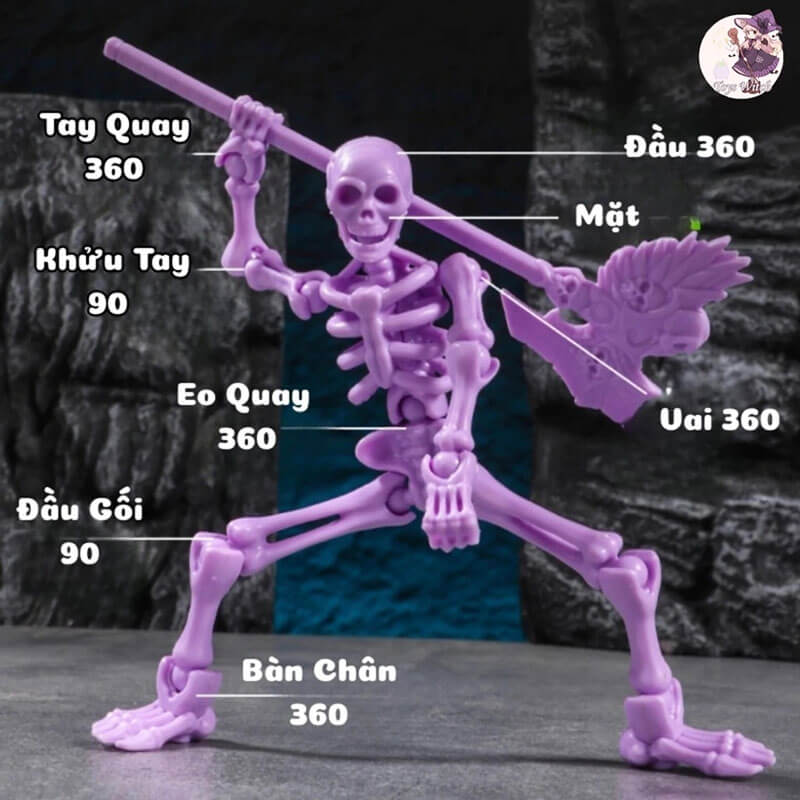 Lap-Rap-Mo-Hinh-Bo-Xuong-Skeleton-779-120_tải-xuống-(3).jpg