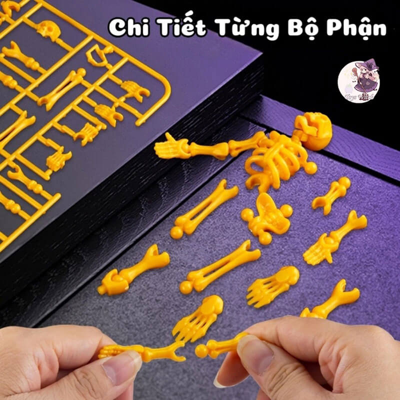 Lap-Rap-Mo-Hinh-Bo-Xuong-Skeleton-779-120_tải-xuống-(4).jpg