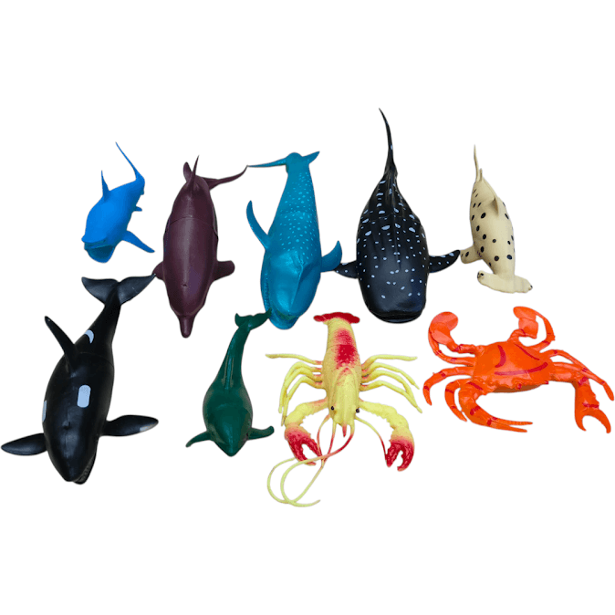 Tui-Thu-Ca-Bien-9-Con-388-37_IMG20251001161044 (1).png