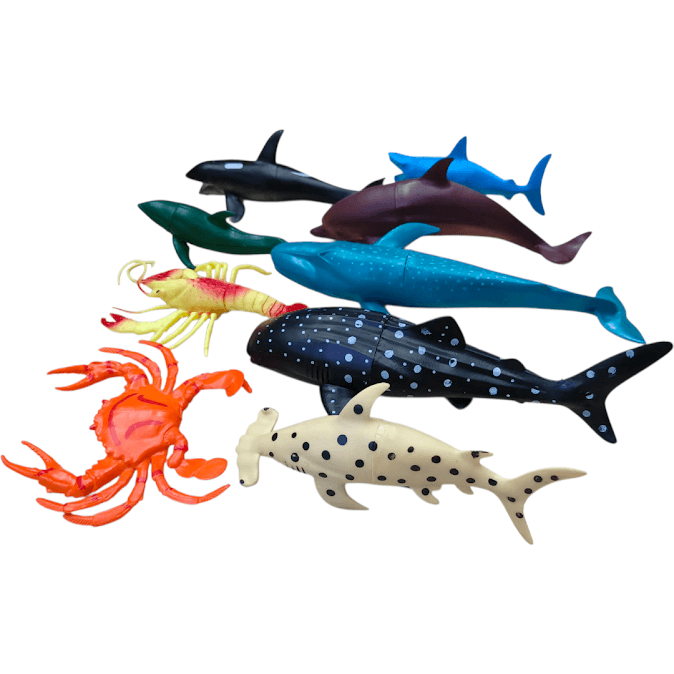 Tui-Thu-Ca-Bien-9-Con-388-37_IMG20251001161102.png