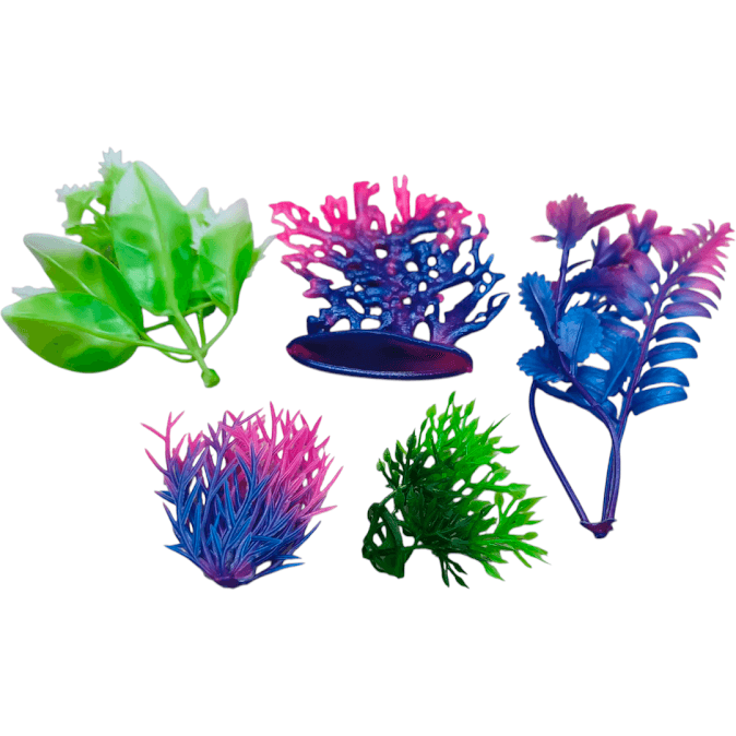 Tui-Thu-Ca-Bien-9-Con-388-37_IMG20251001161141.png