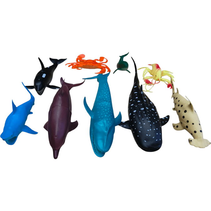 Tui-Thu-Ca-Bien-9-Con-388-37_IMG20251001161548.png