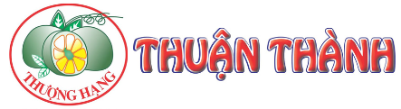 giamanthuanthanh.com