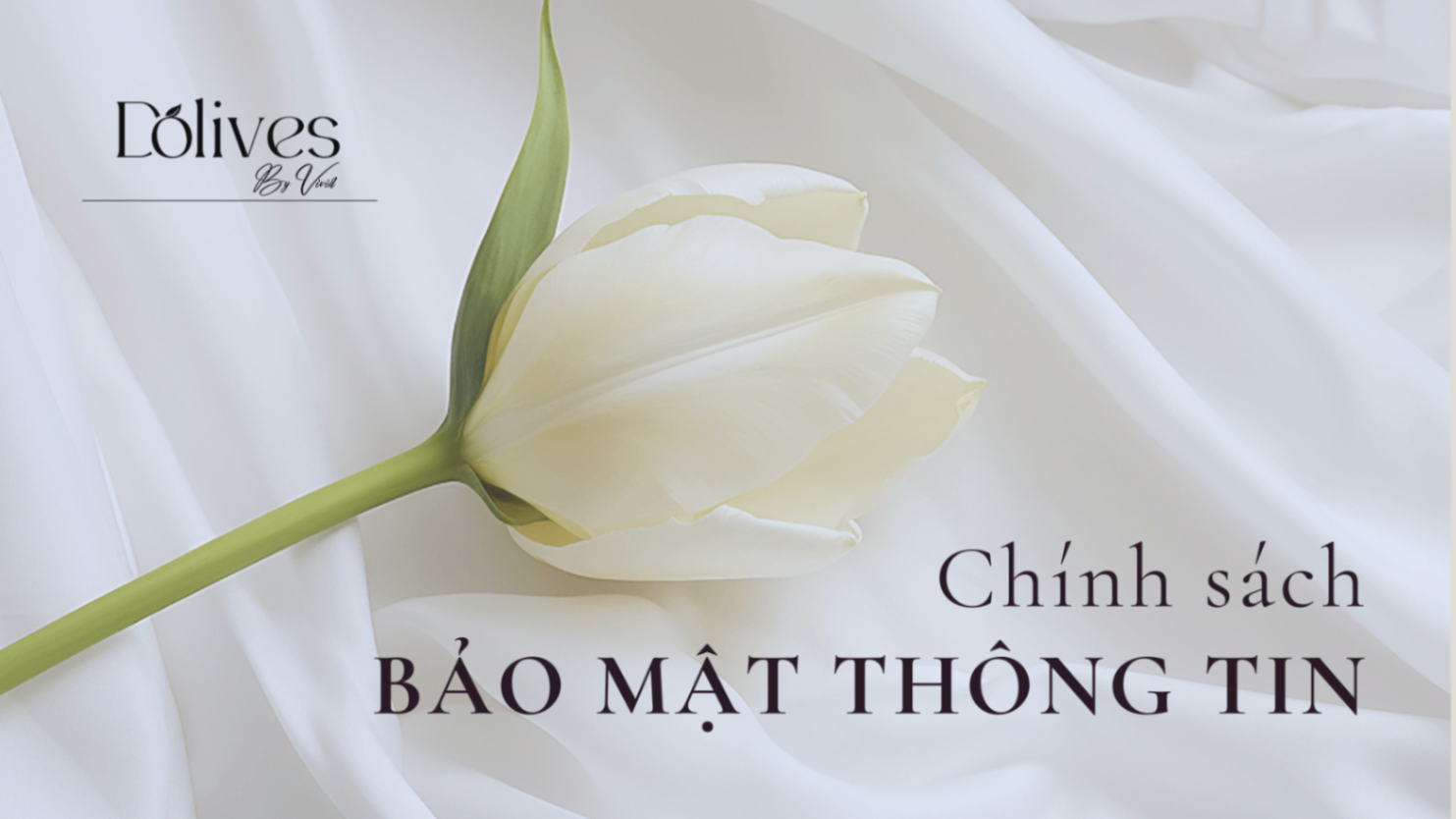 CHÍNH SÁCH BẢO MẬT THÔNG TIN