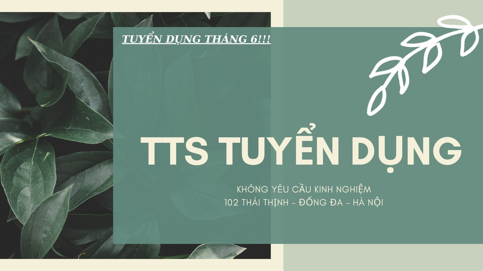 [HN] TTS TUYỂN DỤNG 2020