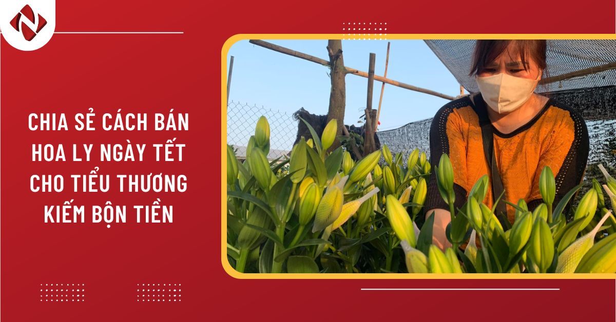 Chia sẻ cách bán hoa Ly ngày Tết cho tiểu thương kiếm bộn tiền