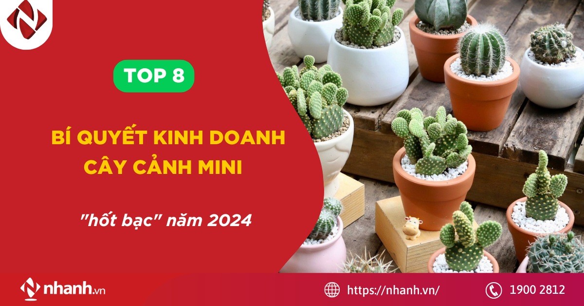 TOP 8 bí quyết kinh doanh cây cảnh mini