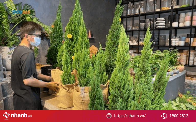 Kinh doanh cây cảnh online