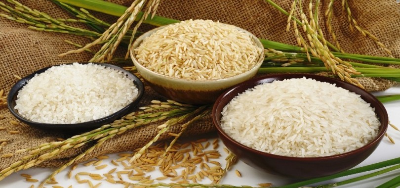 Những loại gạo được ưa chuộng hiện nay