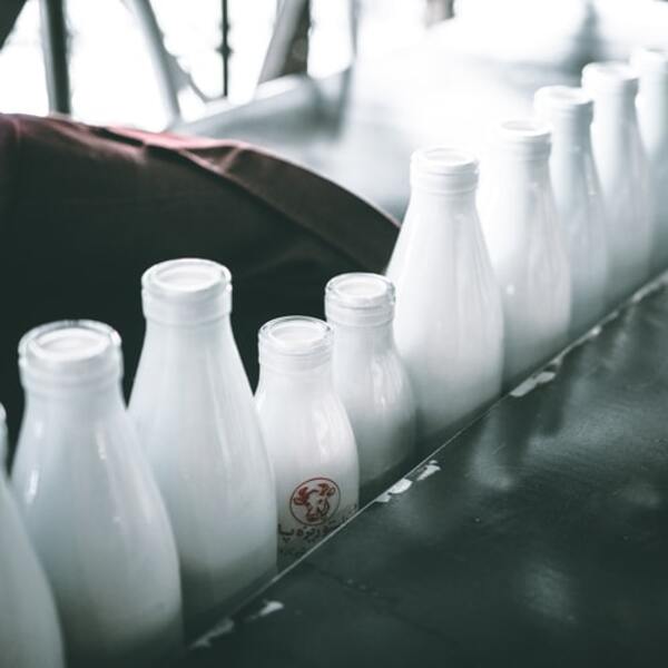 Trên thị trường các rất nhiều các loại sữa khác nhau cho mọi lứa tuổi khác nhau