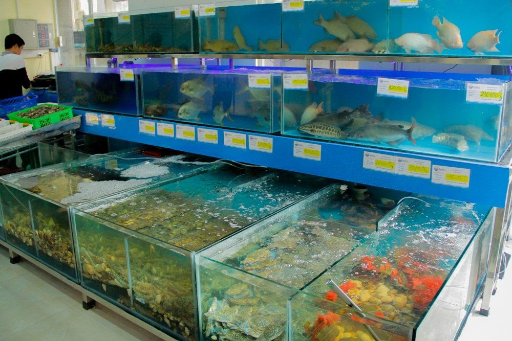 Cách trưng bày hải sản tươi sống tại cửa hàng