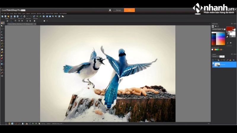 Corel PaintShop Pro là phần mềm chỉnh sửa ảnh với nhiều tính năng chuyên nghiệp