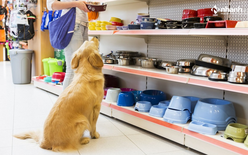Tại sao bạn nên kinh doanh cửa hàng thú cưng (Pet shop)