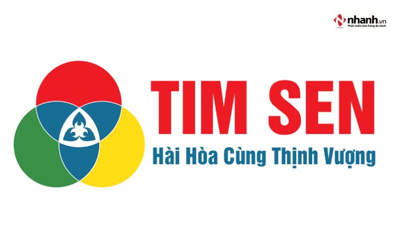 Dịch vụ kế toán Tim Sen